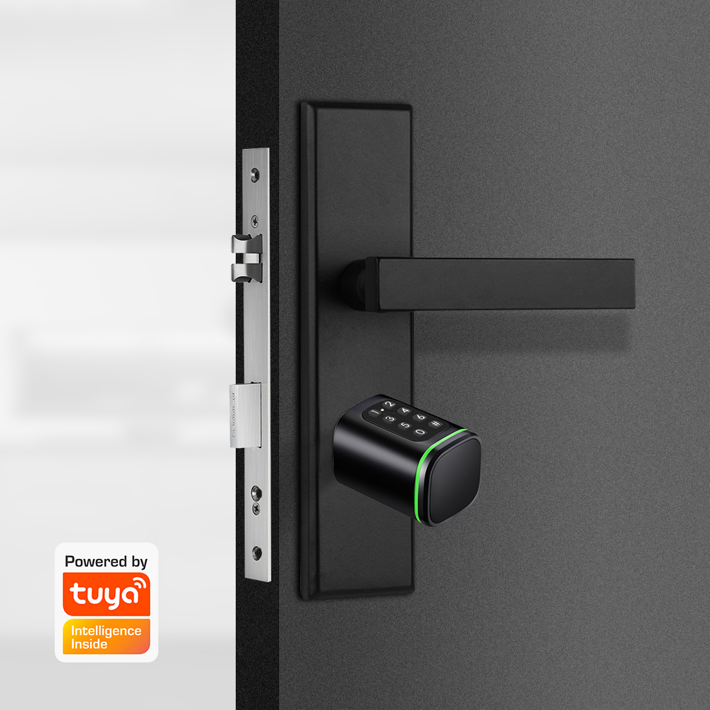 Serratura a cilindro intellige - Home Security Ideas recensione e prezzo