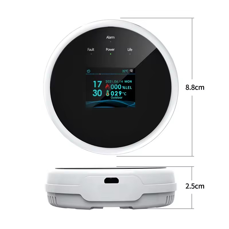 Rilevatore di Perdite di Gas S - Home Security Uk recensione e prezzo